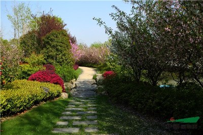 工程評(píng)選:浙江天姿園林建設(shè) - 植保 - 中國園林網(wǎng)