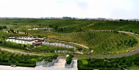 改革開放40周年|綠化美化看變化 青城處處皆風(fēng)景