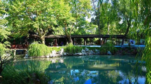 太倉生態園林城市建設中 一大波養眼靚照襲來