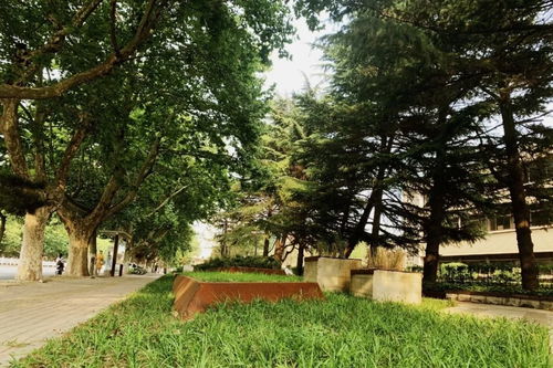文明生態 李永紅帶隊到石臼街道現場調研國家生態園林城市創建工作