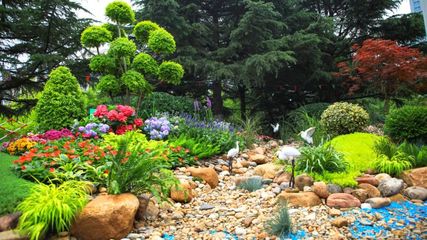 日照市城市管理局 工作動態 日照市第四屆園林綠化行業職業(花藝環境設計師)技能競賽成功舉辦