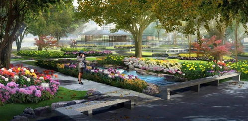 閑置多年 宜賓南岸這塊荒地將變成新公園 建植物園 景觀長廊 寵物花園