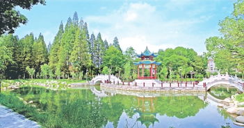 江陵縣創(chuàng)建國家園林縣城 大美綠心 繡 成記