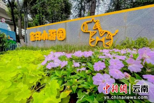 昆明新建106個(gè)小游園國(guó)慶亮相