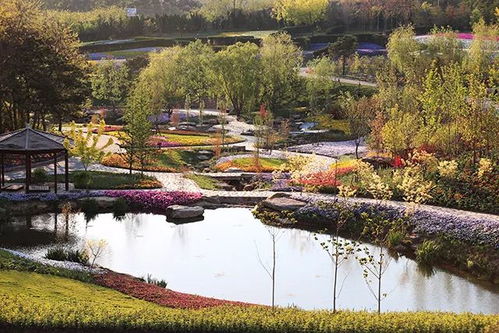 聚焦 中國(guó)花卉旅游的生存之道