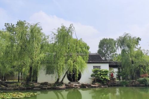 蘇州這個(gè)小園林,藏在大學(xué)里面,獨(dú)具江南氣息曾多次修建