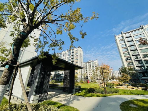 濟(jì)南四建空港花園怎么樣 售樓處 總價(jià)80萬起輕松入住現(xiàn)房洋房