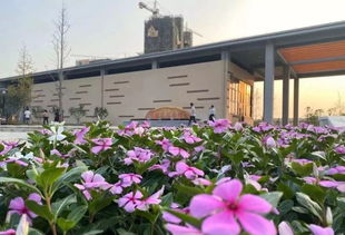 懷寧 東南新區(qū) 建設(shè)初具規(guī)模,未來將是連接高鐵新城的重要通道