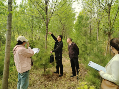 淇縣自然資源局行政執法規范化建設活動成效簡報(八)--對淇縣園林綠化公司開展“雙隨機、一公開”抽查行
