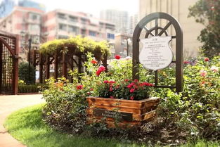 今天 百年昆山公園擴建后重新對外開放