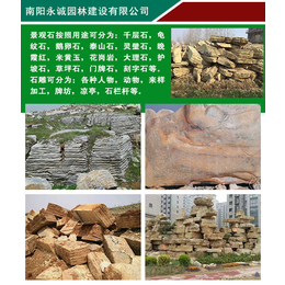 永城價格合理質量上乘-龜紋石園林假山石-龜紋石園林假山石公司