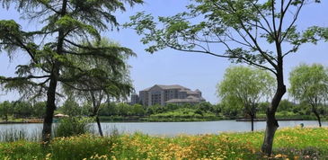 園林讓城市更美好,盤點沭陽園林建設成果